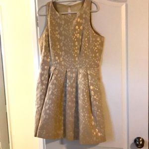NWOT Taylor Dress